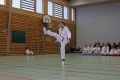 IMG_8517_bearbeitet-1.jpg