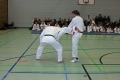 IMG_8526_bearbeitet-1.jpg