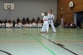 IMG_8564_bearbeitet-1.jpg