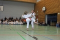 IMG_8573_bearbeitet-1.jpg