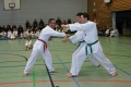 IMG_8576_bearbeitet-1.jpg