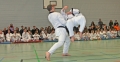 IMG_8632_bearbeitet-2.jpg