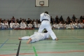 IMG_8634_bearbeitet-1.jpg