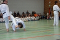 IMG_8637_bearbeitet-1.jpg