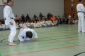 IMG_8638_bearbeitet-1.jpg