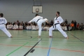 IMG_8641_bearbeitet-1.jpg