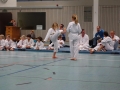 DSC02185