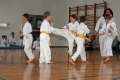 IMG_6384_bearbeitet-1.jpg