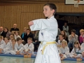 100_7796_bearbeitet-1