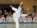 100_7799_bearbeitet-1