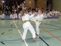 101_7913_bearbeitet-1