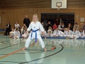 101_7918_bearbeitet-1