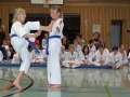 101_7927_bearbeitet-1