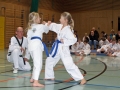 101_7939_bearbeitet-1