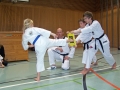 101_7944_bearbeitet-1