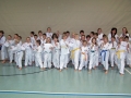 101_7987_bearbeitet-1