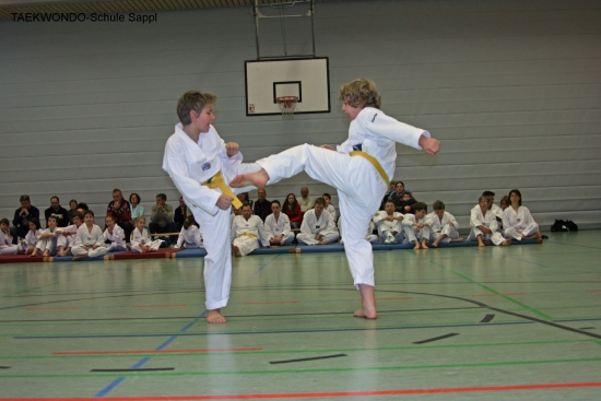 IMG_0453_bearbeitet-1.jpg
