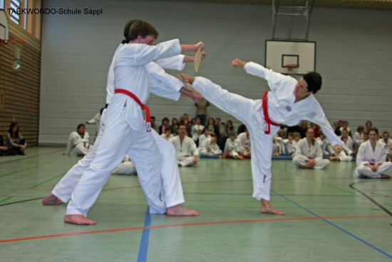 IMG_0750_bearbeitet-1.jpg