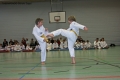 IMG_0453_bearbeitet-1.jpg