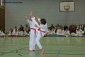 IMG_0646_bearbeitet-1.jpg