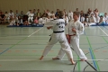IMG_6095_bearbeitet-1