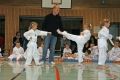 IMG_0948_bearbeitet-1