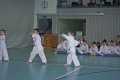 IMG_3986_bearbeitet-1
