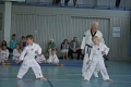 IMG_3992_bearbeitet-1