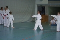 IMG_4023_bearbeitet-1