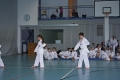 IMG_4153_bearbeitet-1