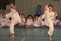 IMG_4204_bearbeitet-2