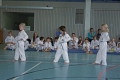 IMG_4224_bearbeitet-1