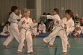 IMG_4245_bearbeitet-2