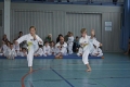 IMG_4308_bearbeitet-1