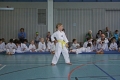 IMG_4331_bearbeitet-1