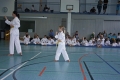 IMG_4337_bearbeitet-1