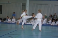IMG_4375_bearbeitet-1