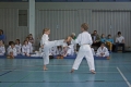 IMG_4382_bearbeitet-1