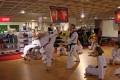 IMG_7833_bearbeitet-1.jpg