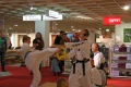 IMG_7845_bearbeitet-1.jpg