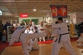 IMG_7858_bearbeitet-1.jpg