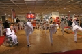 IMG_7860_bearbeitet-1.jpg