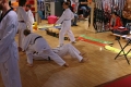 IMG_7865_bearbeitet-1.jpg
