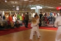 IMG_7877_bearbeitet-1.jpg