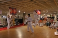 IMG_7880_bearbeitet-1.jpg