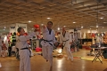 IMG_7925_bearbeitet-1.jpg