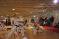 IMG_8106_bearbeitet-1.jpg