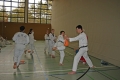 IMG_4962_bearbeitet-1
