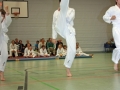 IMG_2042_bearbeitet-1.jpg