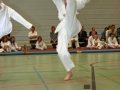 IMG_2046_bearbeitet-1.jpg